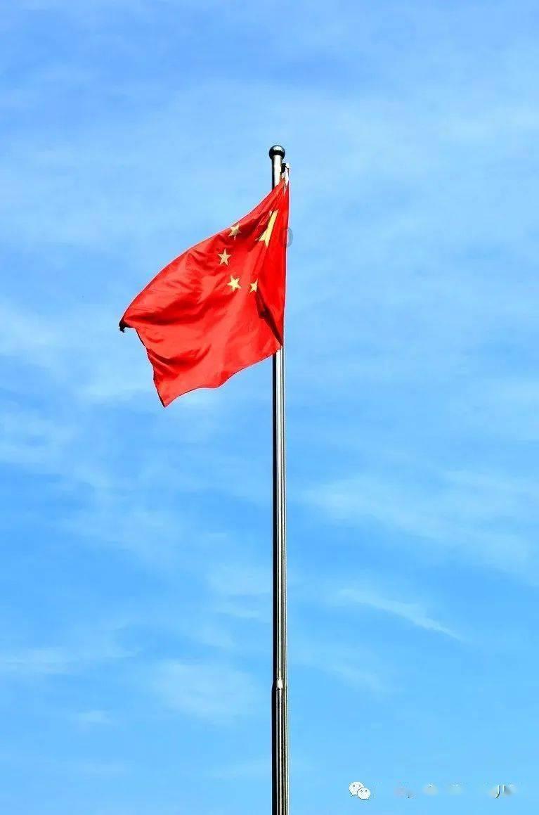 为大地丰收培育“金种子”