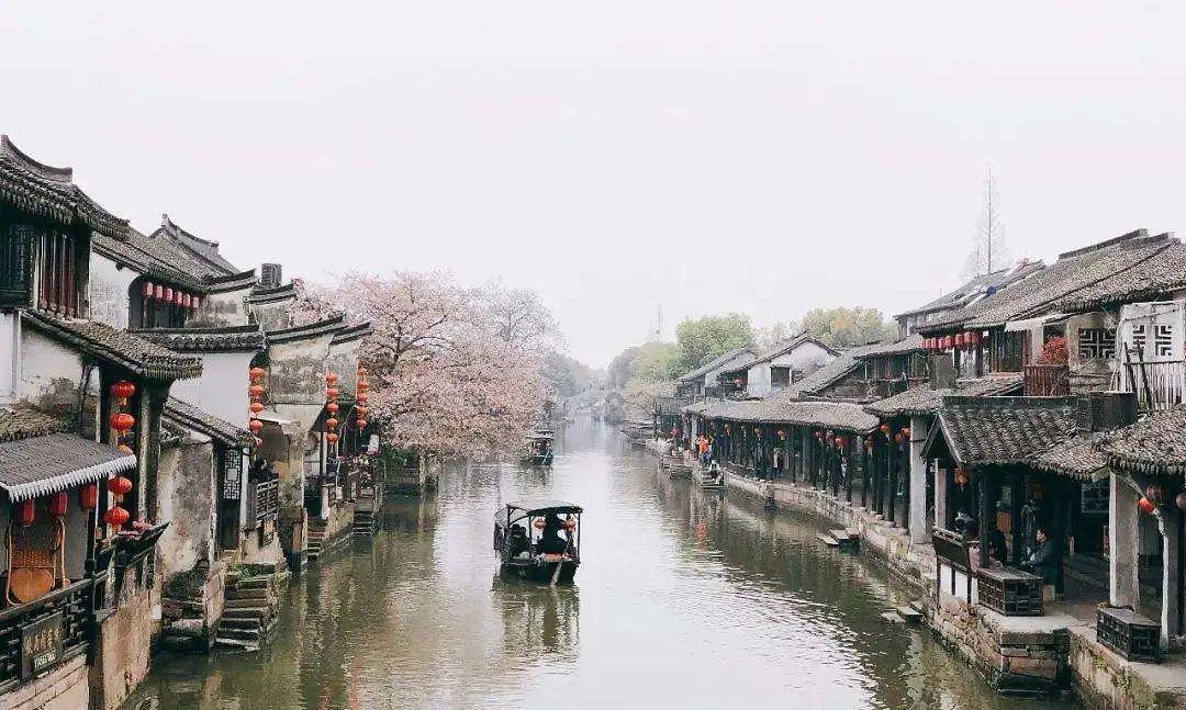 虫虫助手下载