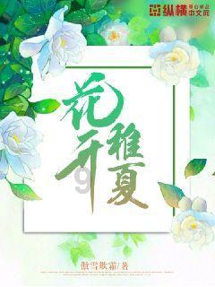 玩具店里的娃娃